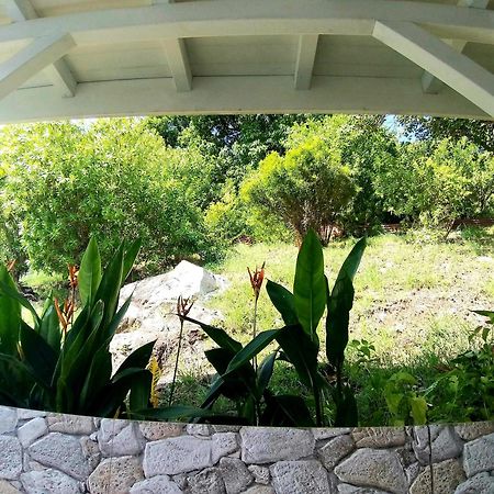 Villa Cana Et Son Spa A Terre De Haut ภายนอก รูปภาพ