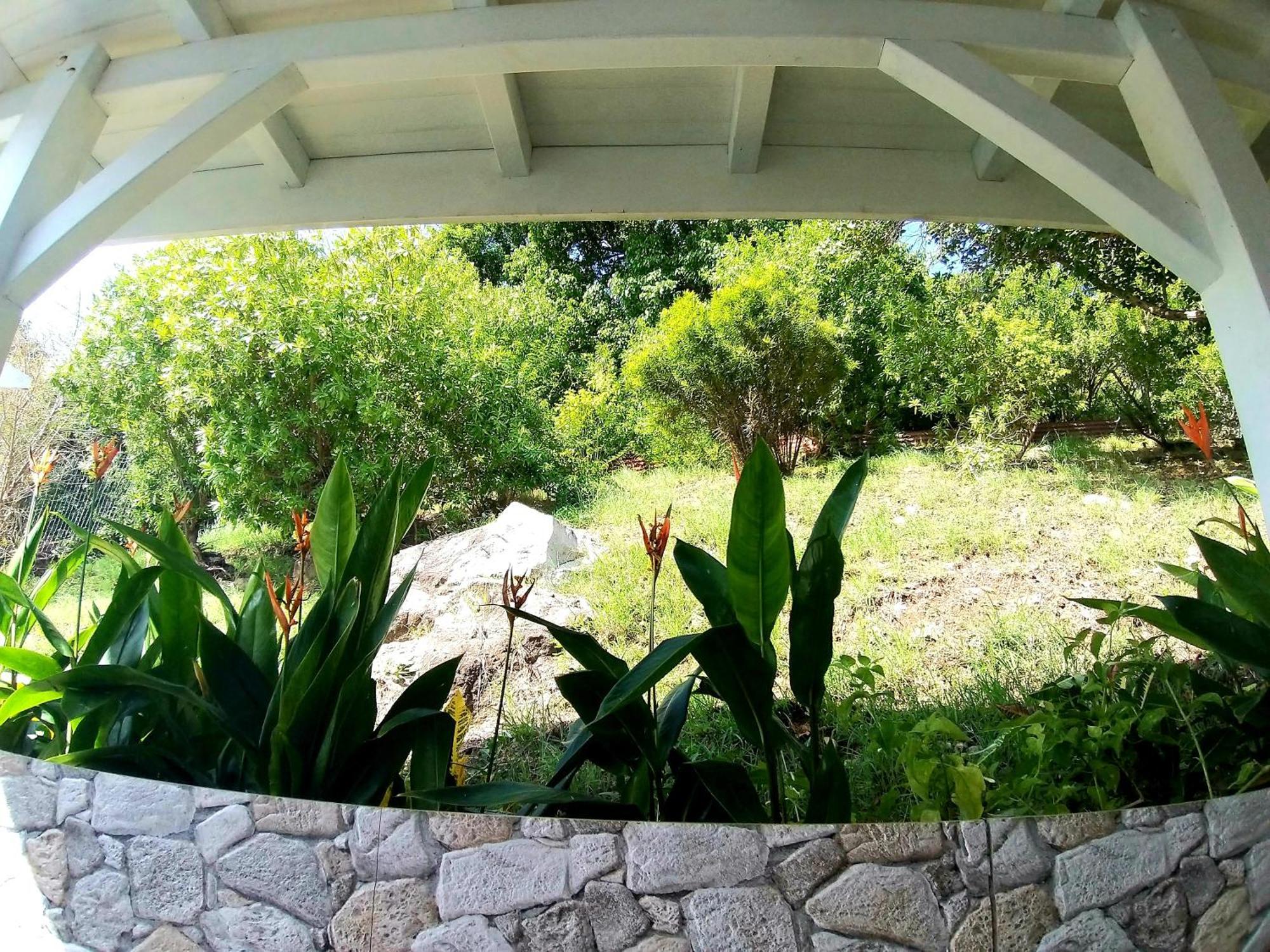Villa Cana Et Son Spa A Terre De Haut ภายนอก รูปภาพ